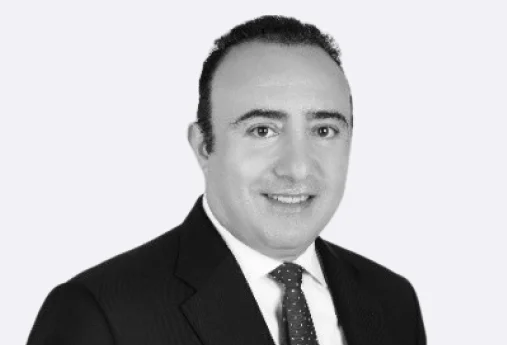 Walid A Sidani